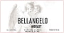 Villa Bellangelo Merlot 2013 Front Label