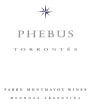 Fabre Montmayou Phebus Torrontes 2008  Front Label