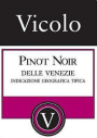 Vicolo Pinot Noir 2016  Front Label