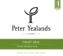 Yealands Peter Eco Pinot Gris 2016  Front Label