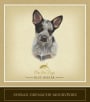 Cru Vin Dogs Blue Heeler 2008  Front Label