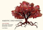 Majestic Oak Vineyards Wellong Vineyards Syrah 2015  Front Label