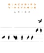 Blackbird Vineyards Arise Napa Valley Proprietary Red (375ML half-bottle) 2022  Front Label