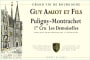Guy Amiot Puligny-Montrachet Les Demoiselles Premier Cru 2014  Front Label