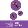 Flying Goat Cellars Goat Bubbles Blanc de Blancs 2013  Front Label