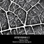 Stevens Winery XY Reserve Cabernet Sauvignon 2013 Front Label
