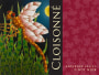 Cloisonne Anderson Valley Pinot Noir 2017  Front Label