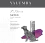 Yalumba Y Series Merlot 2016  Front Label