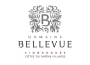 Domaine Bellevue Signargues 2019  Front Label