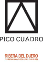 Pico Cuadro Ribera del Duero 2009  Front Label