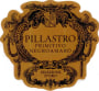Cantine Due Palme Pillastro Primitivo 2009  Front Label