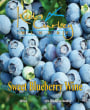 Keel and Curley Winery Sweet Blueberry  Front Label