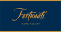 Fortunati Vineyards Vinto Syrah 2015  Front Label