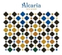 Bodegas Castano Alcaria Old Vines 2016  Front Label