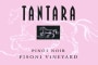 Tantara Pisoni Vineyard Pinot Noir 2008  Front Label