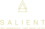 Winc Salient Chardonnay 2015  Front Label