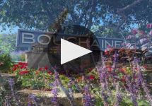 Bouchaine Bouchaine Vineyards in Napa Winery Video