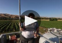Frenzy Winery Video