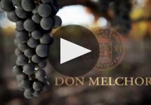 Don Melchor Winery Video
