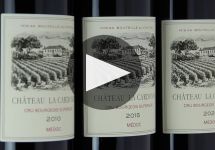 Chateau La Cardonne Winery Video