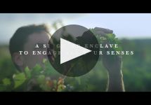 Bodegas Aster by La Rioja Alta Bodegas Aster by La Rioja Alta Winery Video