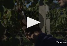 Chateau Paloumey Château Paloumey Winery Video