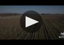 Chateau Bonnet Chateau Bonnet Winery Video