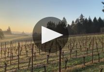 Soter Vineyards Winery Video