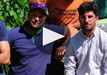 Tenuta Grimaldi Learn More About Tenuta Grimaldi Winery Video