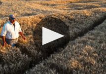 Farmer's Gin 1000 Springs Mill Farm Winery Video