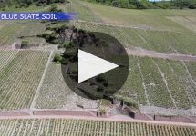 Dr. Loosen Winery Video