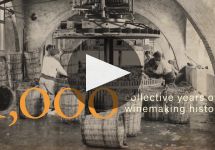 Artesa Vineyards and Winery Winery Video