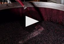 Maison de la Villette Winery Video