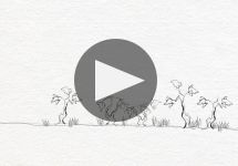 Remy Martin Winery Video
