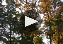 Spring Valley Vineyard Winery Video