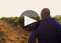 Chereau Carre Chereau Carre Winery Video