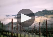 Ferrari-Carano Winery Video