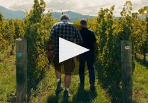 Clos Henri  Winery Video