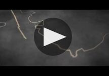 Domaine Laroche Winery Video