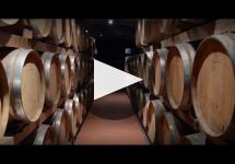 Piccini 1882 Winery Video