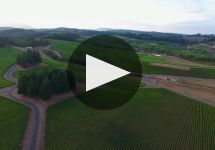 Gran Moraine  Winery Video