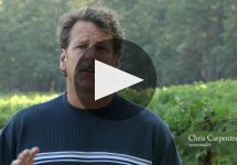 Cardinale Winery Video