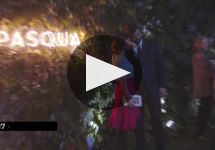 Pasqua WE | 2023 Innovator of the Year Winery Video