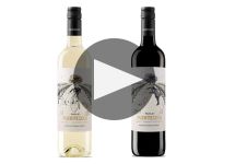 Fuenteseca  Winery Video
