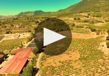 Remelluri  Winery Video