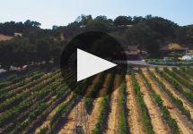 Lincourt Vineyards Winery Video