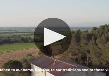 Clot del Pila Boudau Family Domaine in Roussillon Winery Video