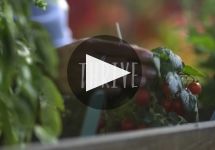 Natura Winery Video
