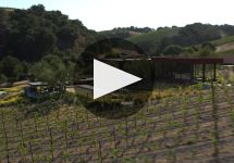 Booker Vineyard Booker Vineyard Winery Video