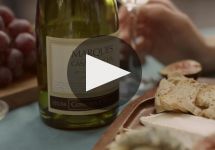 Concha y Toro Learn About Concha y Toro Winery Video